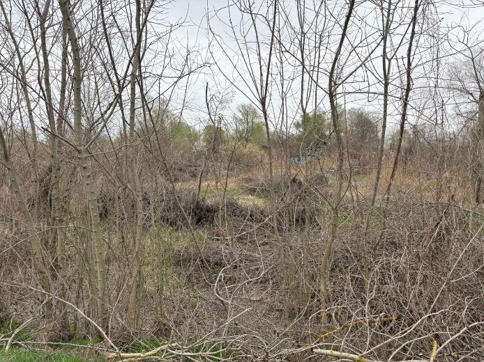 Реальне фото земельної ділянки індустріального парку в с. Рудники, Львівська область — greenfield готовий до забудови